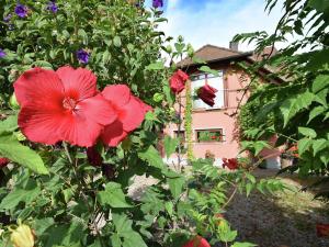 a red flower on a bush in front of a house at Countryside apartment with garden in Schallstadt