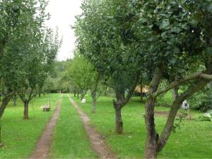 a field with trees and a dirt road at Idyllic holiday home in Neinstedt near forest in Thale