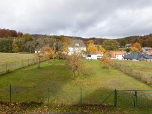 a large grassy field with a fence and trees at Holiday home in the Thuringian Forest in Wutha-Farnroda