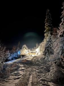斯拉夫西克的住宿－SlavskoGlamping，一条雪覆盖的道路,晚上有帐篷