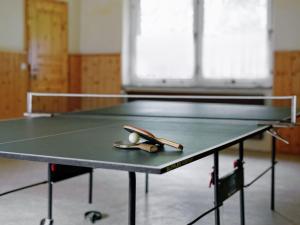 a ping pong table with a ping pong ball on it at Elite holiday home with garden in Spreenhage in Grünheide