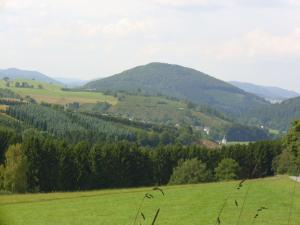 Naturlandschaft in der Nähe der Ferienwohnung