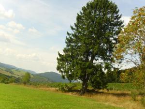 Naturlandschaft in der Nähe der Ferienwohnung