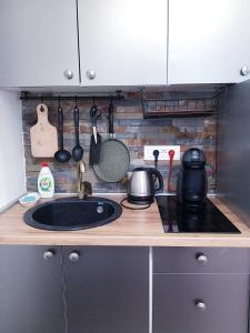 een aanrecht met een wastafel en een fornuis bij Apartment Little Heaven - free Parking in Sarajevo +13 foto's