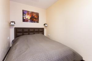 a bed in a bedroom with a picture on the wall at Luxury One bedrooms 23 August in Kharkiv
