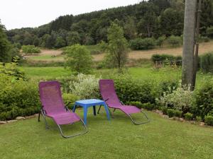 two purple chairs and a blue table in the grass at Apartment with terrace and view in Merschbach