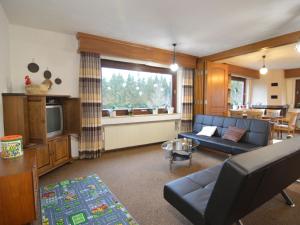 a living room with a couch and a television at Luxurious Holiday Home in Kalterherberg with Sauna in Alzen