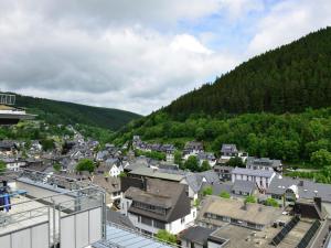 ヴィリンゲンにあるLarge Apartment in Willingen with Balconyの山中の家並木