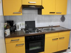 uma cozinha amarela com um fogão e um lavatório em Classic holiday home in the Harz Mountains em Ilsenburg