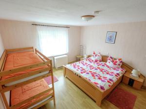 1 Schlafzimmer mit 2 Etagenbetten und einem Fenster in der Unterkunft Holiday home in Hasselfelde with private terrace in Stiege