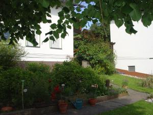 a garden in front of a house with plants at Cosy Apartment in Wilsecker near the Forest in Kyllburg
