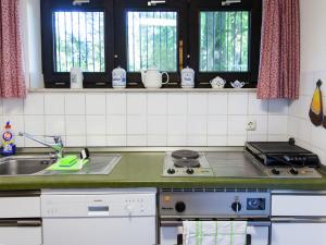 a kitchen with a sink and a stove and windows at Holiday home in Lissendorfer with terrace in Lissendorf