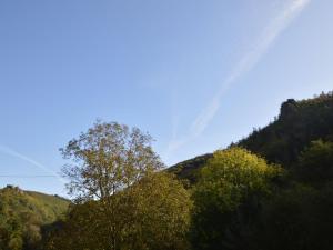 a group of trees on a hill with a blue sky at Holiday home in nice surrounding in Veldenz