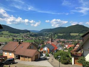 バイアースブロンにあるPanoramic view Apartment in Baiersbronn with Gardenの家並みと山並みを背景にした小さな町