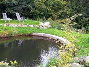 two chairs sitting in the grass next to a pond at Apartment with panoramic view in Brotterode-Trusetal