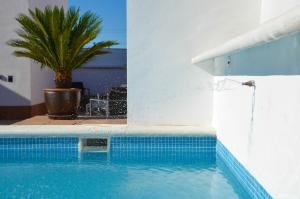 a swimming pool with a palm tree next to a building at Aguilas5 SevillaSuites in Seville