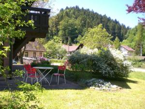 einen Hinterhof mit einem Tisch und Stühlen im Gras in der Unterkunft Apartment with a view in Bad Rippoldsau