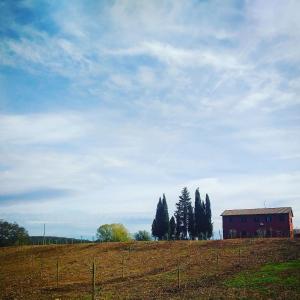 Fotografie z fotogalerie ubytování PODERE GRETANO casetta in maremma v destinaci Paganico