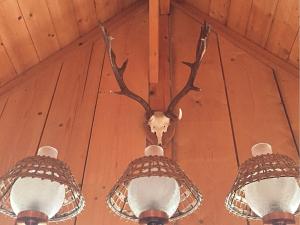 a deer head hanging from a ceiling with two lights at Holiday home in the Black Forest with sauna in Berneck