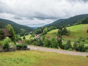 a view of a valley with green hills and trees at Holiday home in the Black Forest with sauna in Berneck