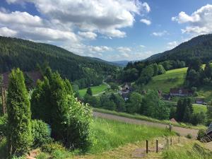 a view of a valley with trees and a road at Holiday home in the Black Forest with sauna in Berneck