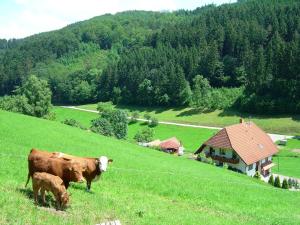 Foto de la galeria de Apartment in Hofstetten surrounded by nature a Hofstetten