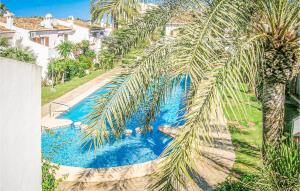 una palmera junto a una piscina con una palmera en Tropicanapark, en Denia