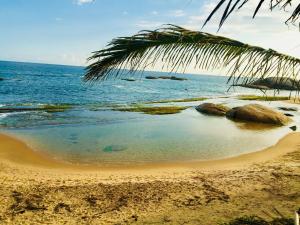 Gallery image of Beach Bungalow Yala in Kirinda