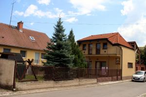 a house with a fence and a car on the street at Dom štúdia Petra in Štúrovo