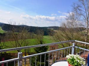 a view from the balcony of a house at Flat with sauna in the Bavarian Forest in Waldkirchen