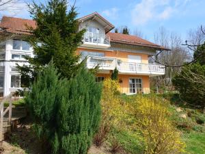 a house on a hill with a tree in front of it at Flat with sauna in the Bavarian Forest in Waldkirchen