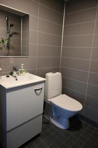 a bathroom with a toilet and a sink at Willa Rauha F in Lumijoki