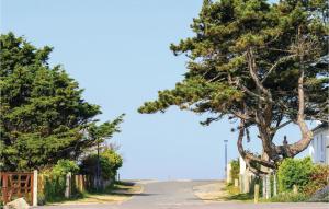 a tree on the side of a road at Awesome Home In Hauteville-Sur-Mer in Hauteville-sur-Mer