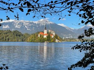 a castle on an island in the middle of a lake at Garden House in Kranj