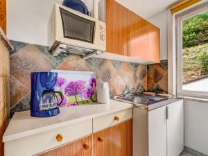 een kleine keuken met een wastafel en een magnetron bij Holiday home with garden in Langenbach