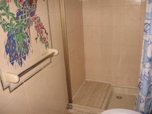 ein Bad mit einer Dusche und einem WC in der Unterkunft Hotel Casale in Isola del Gran Sasso dʼItalia