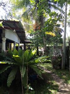 Imagen de la galería de Bandula Home Stay, en Sigiriya