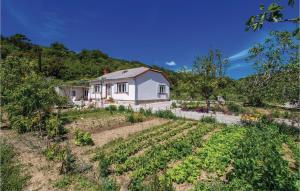 a house in a garden with a field of crops at Awesome Home In Kampor With House A Panoramic View in Kampor