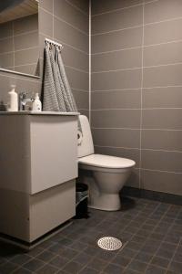 łazienka z toaletą i umywalką w obiekcie Willa Rauha G w mieście Lumijoki