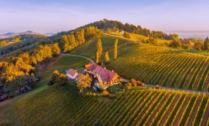 una vista aerea di una casa su una collina con viti di Weingut Winzerzimmer Rothschädl a Leutschach
