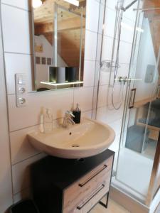 La salle de bains est pourvue d'un lavabo et d'une douche. dans l'établissement Gasthof Rettenbachalm, à Bad Ischl