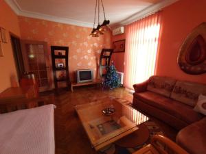 TV a/nebo společenská místnost v ubytování Apartments Zatyshok