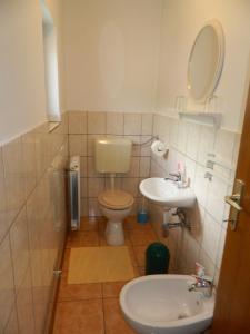 un piccolo bagno con un water e un lavandino di Vacation home Kuća za Odmor a Krasno Polje Altre 18 foto