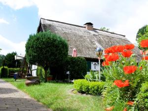 a cottage with red flowers in front of it at Ferienhaus in Gegensee am Naturpark in Ahlbeck