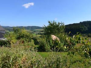 シュマレンベルクにあるQuiet apartment in Sauerland with terraceの茂みや木々の畑の眺め