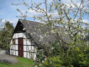 シュマレンベルクにあるQuiet apartment in Sauerland with terraceの白黒の花木の建物