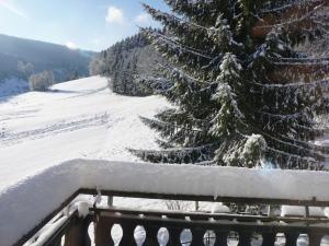 Το Übernachten Sie in der Nähe des WinterbergSkilifts τον χειμώνα +32 φωτογραφίες