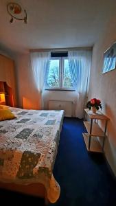 a bedroom with a large bed and a window at Kleine Möwe, Fewo mit zwei separaten Schlafzimmern in Heiligenhafen
