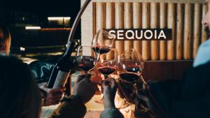a group of people holding up wine glasses at Roots Villa Sequoia in Braşov +49 photos