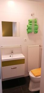 ein Badezimmer mit einem Waschbecken, einem WC und einem Spiegel in der Unterkunft Gästehaus Ruinenblick in Spitz